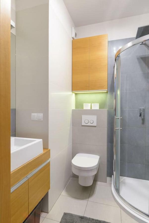 Dabrowskiego Apartment Познань Экстерьер фото